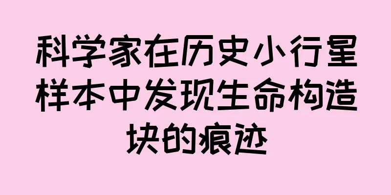 科学家在历史小行星样本中发现生命构造块的痕迹