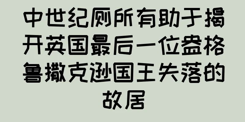中世纪厕所有助于揭开英国最后一位盎格鲁撒克逊国王失落的故居
