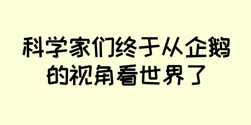 科学家们终于从企鹅的视角看世界了