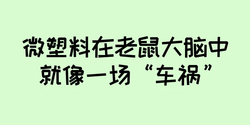 微塑料在老鼠大脑中就像一场“车祸”