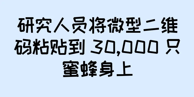 研究人员将微型二维码粘贴到 30,000 只蜜蜂身上