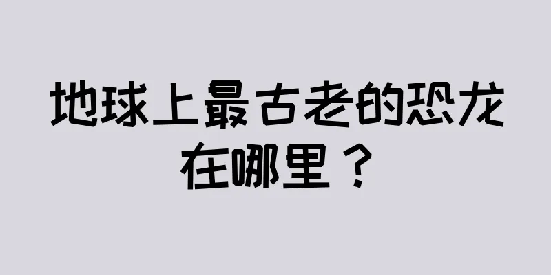 地球上最古老的恐龙在哪里？