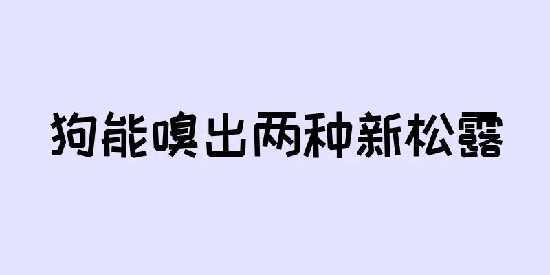 狗能嗅出两种新松露