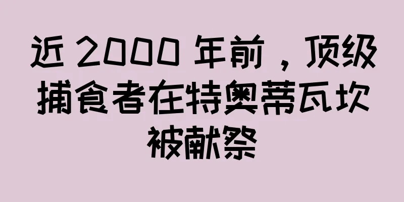近 2000 年前，顶级捕食者在特奥蒂瓦坎被献祭