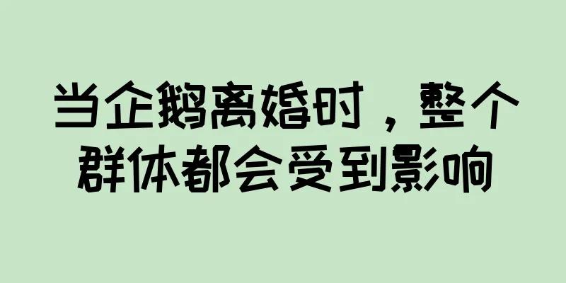 当企鹅离婚时，整个群体都会受到影响