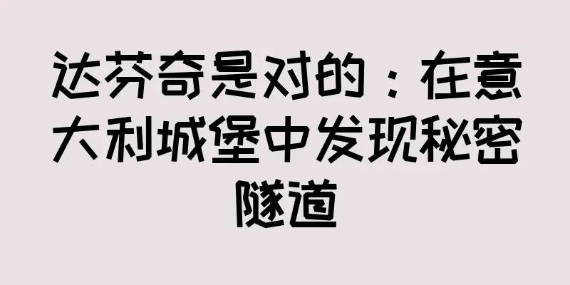 达芬奇是对的：在意大利城堡中发现秘密隧道