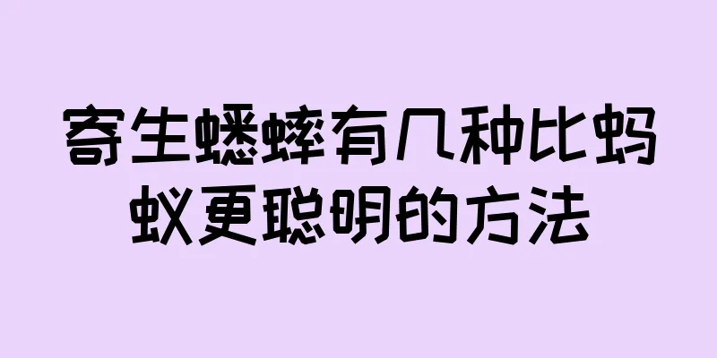 寄生蟋蟀有几种比蚂蚁更聪明的方法