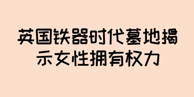 英国铁器时代墓地揭示女性拥有权力