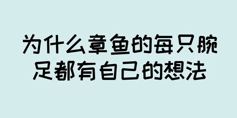 为什么章鱼的每只腕足都有自己的想法