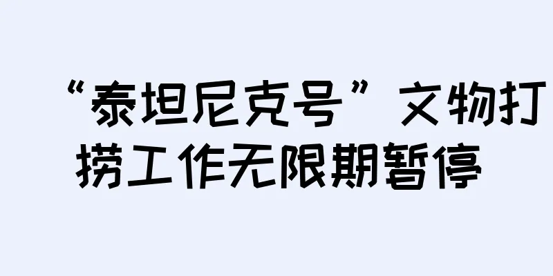 “泰坦尼克号”文物打捞工作无限期暂停