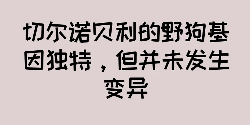切尔诺贝利的野狗基因独特，但并未发生变异
