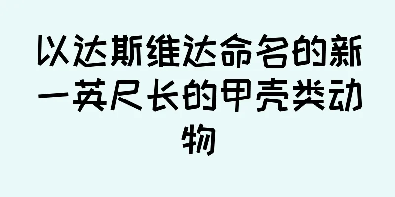 以达斯维达命名的新一英尺长的甲壳类动物
