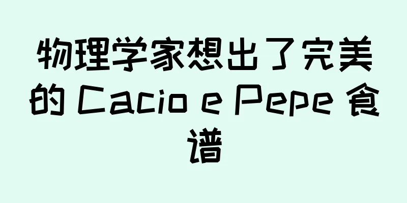 物理学家想出了完美的 Cacio e Pepe 食谱