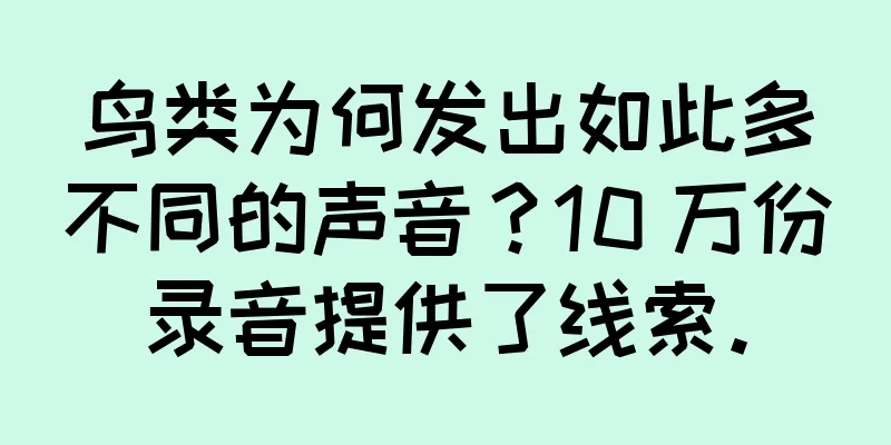 鸟类为何发出如此多不同的声音？10 万份录音提供了线索。