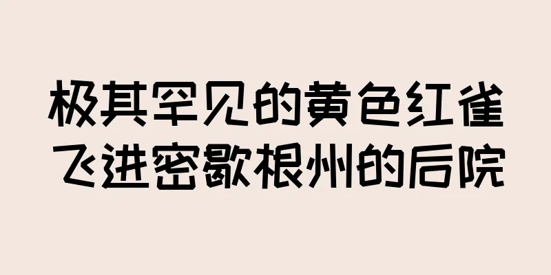 极其罕见的黄色红雀飞进密歇根州的后院