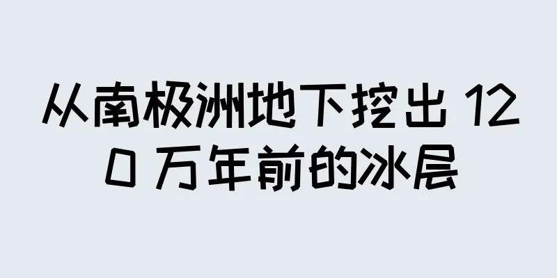 从南极洲地下挖出 120 万年前的冰层
