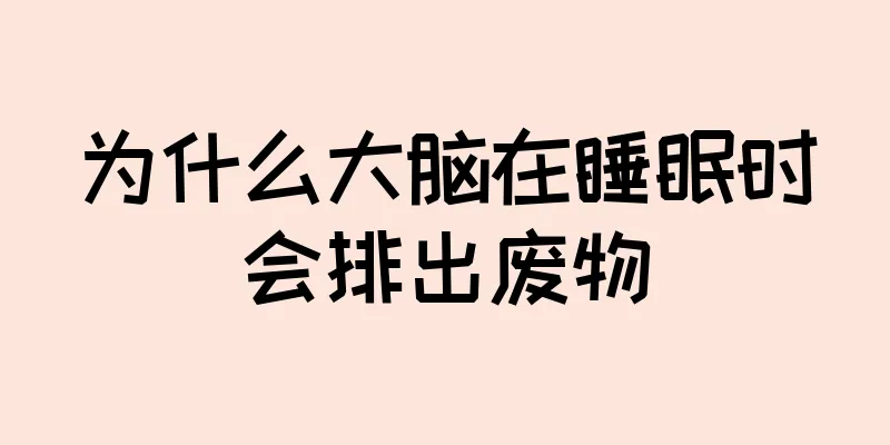 为什么大脑在睡眠时会排出废物