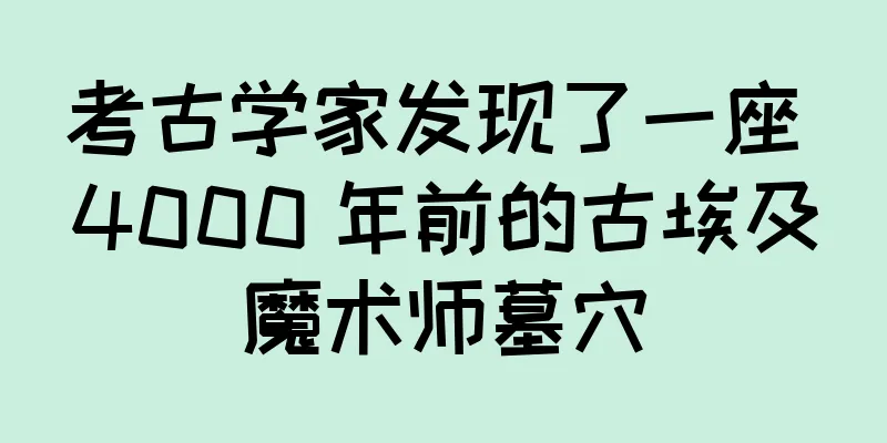 考古学家发现了一座 4000 年前的古埃及魔术师墓穴