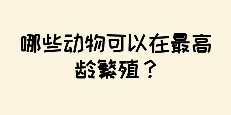 哪些动物可以在最高龄繁殖？