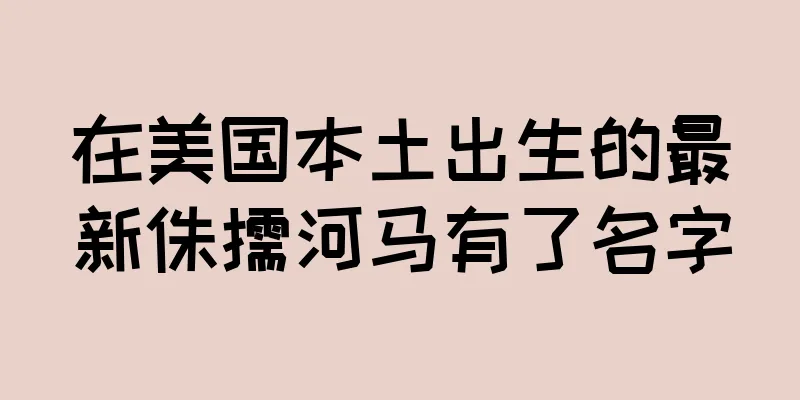 在美国本土出生的最新侏儒河马有了名字