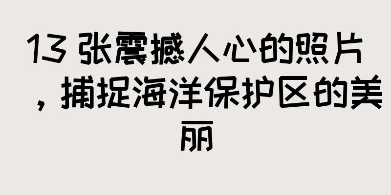 13 张震撼人心的照片，捕捉海洋保护区的美丽