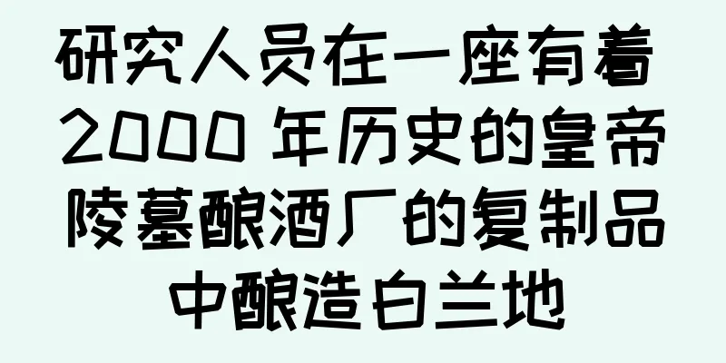 研究人员在一座有着 2000 年历史的皇帝陵墓酿酒厂的复制品中酿造白兰地
