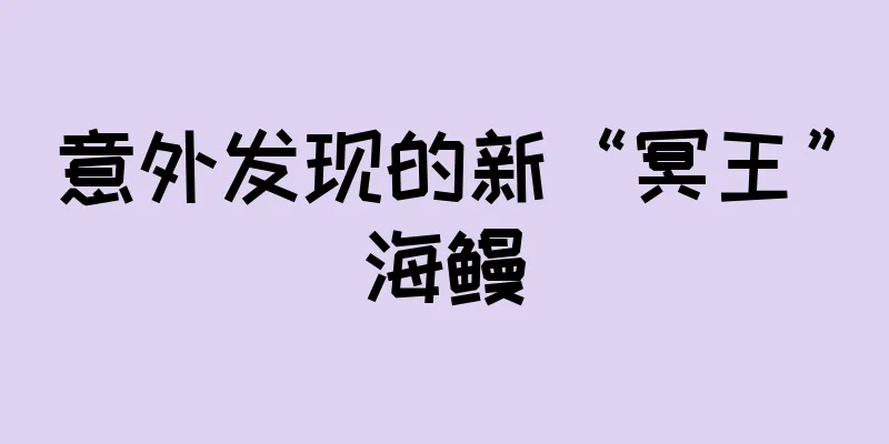 意外发现的新“冥王”海鳗