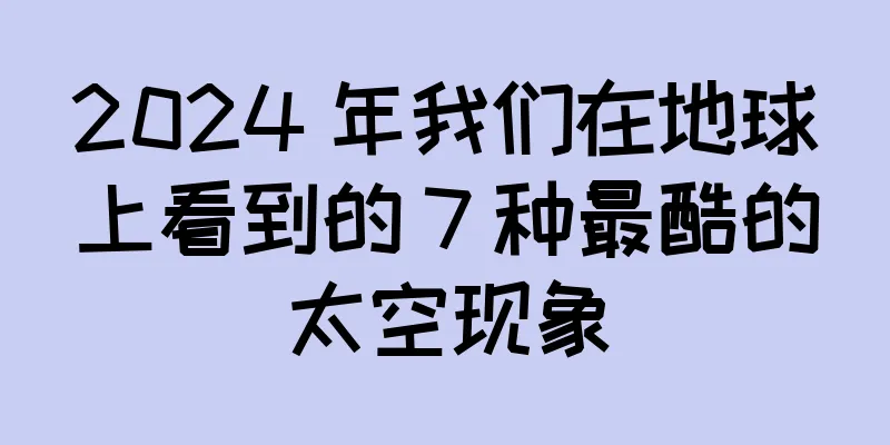 2024 年我们在地球上看到的 7 种最酷的太空现象