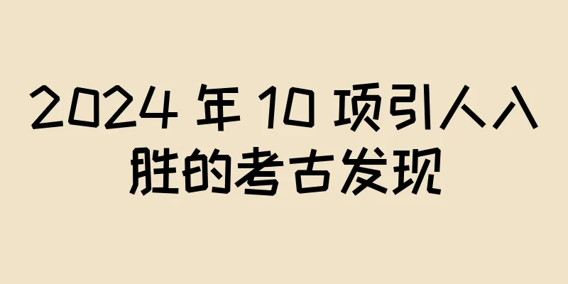 2024 年 10 项引人入胜的考古发现