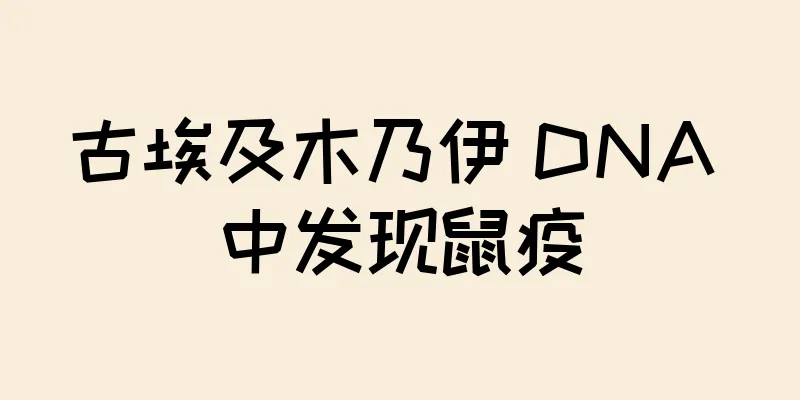 古埃及木乃伊 DNA 中发现鼠疫