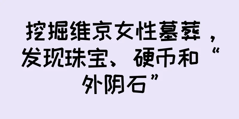 挖掘维京女性墓葬，发现珠宝、硬币和“外阴石”