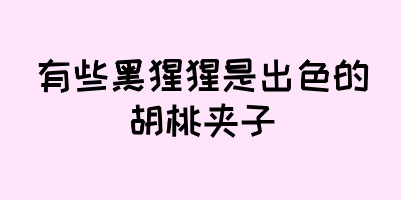 有些黑猩猩是出色的胡桃夹子