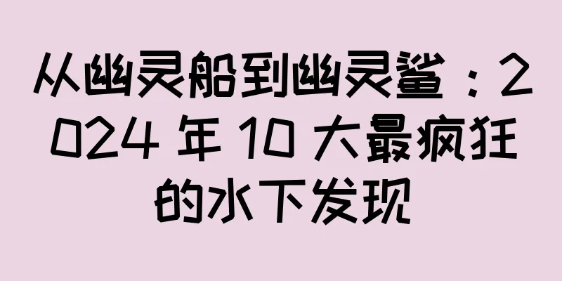 从幽灵船到幽灵鲨：2024 年 10 大最疯狂的水下发现