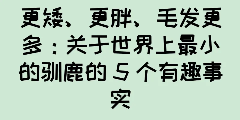 更矮、更胖、毛发更多：关于世界上最小的驯鹿的 5 个有趣事实
