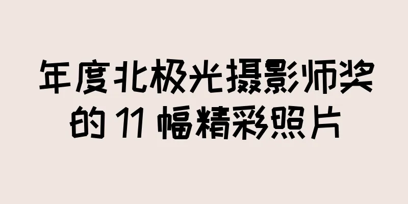 年度北极光摄影师奖的 11 幅精彩照片