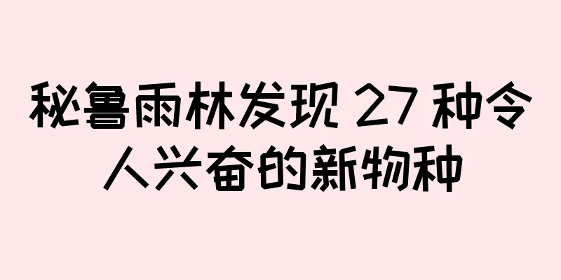 秘鲁雨林发现 27 种令人兴奋的新物种