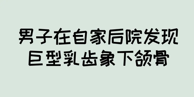 男子在自家后院发现巨型乳齿象下颌骨