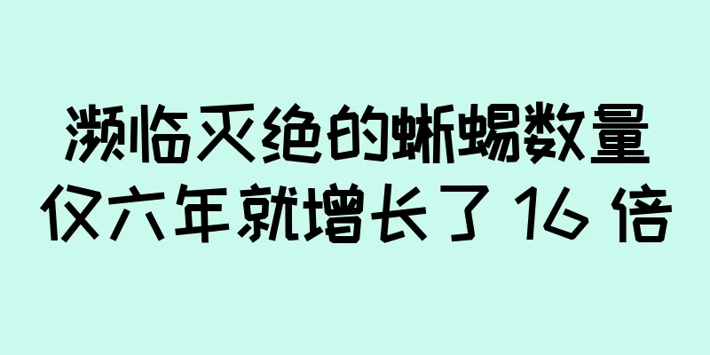 濒临灭绝的蜥蜴数量仅六年就增长了 16 倍