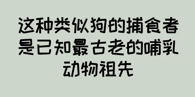 这种类似狗的捕食者是已知最古老的哺乳动物祖先
