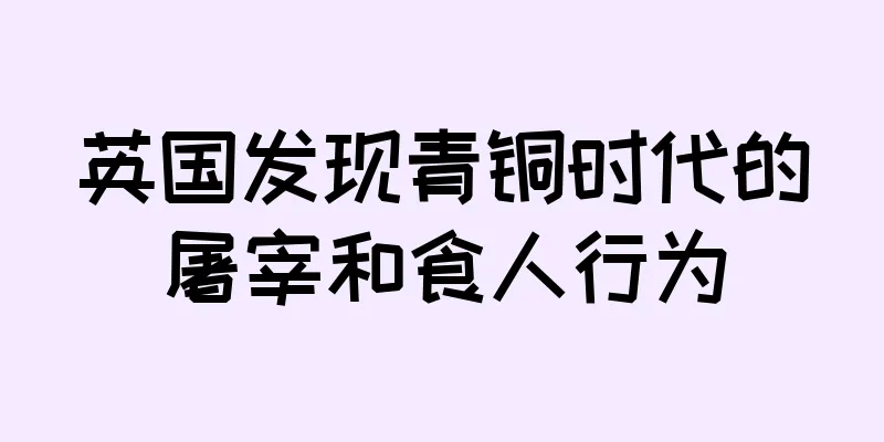 英国发现青铜时代的屠宰和食人行为