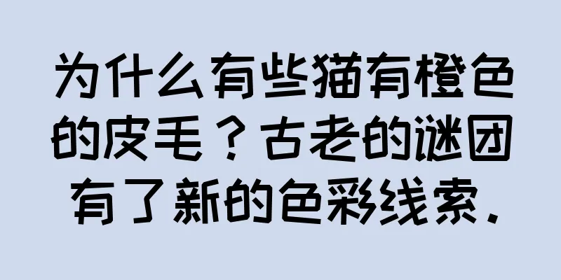 为什么有些猫有橙色的皮毛？古老的谜团有了新的色彩线索。