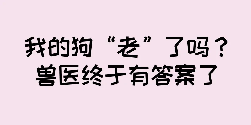 我的狗“老”了吗？兽医终于有答案了