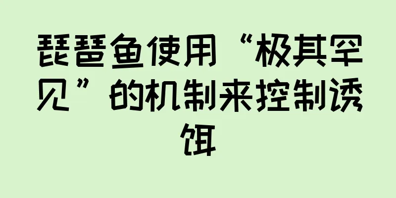 琵琶鱼使用“极其罕见”的机制来控制诱饵