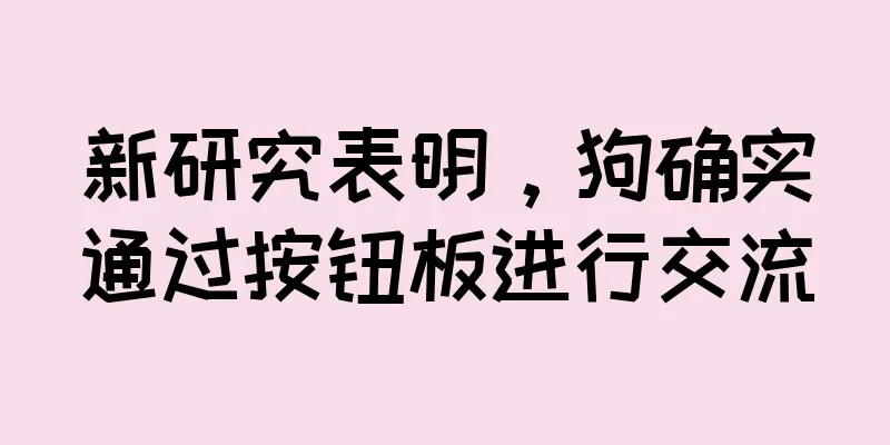 新研究表明，狗确实通过按钮板进行交流