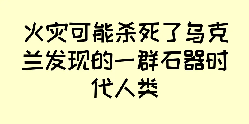 火灾可能杀死了乌克兰发现的一群石器时代人类