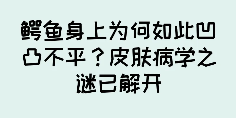 鳄鱼身上为何如此凹凸不平？皮肤病学之谜已解开