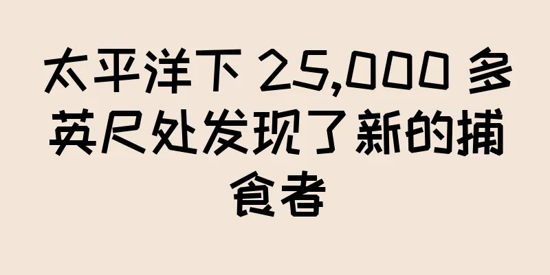 太平洋下 25,000 多英尺处发现了新的捕食者