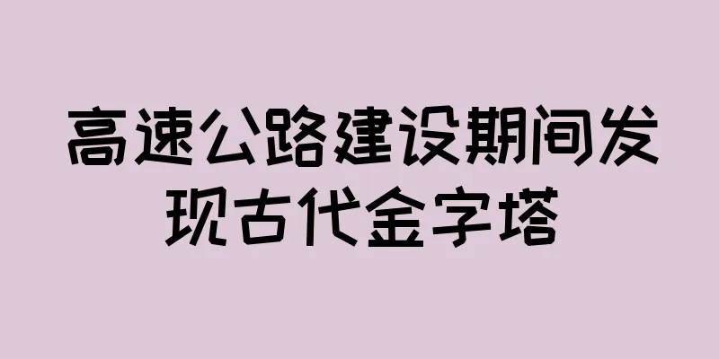 高速公路建设期间发现古代金字塔