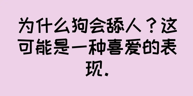 为什么狗会舔人？这可能是一种喜爱的表现。