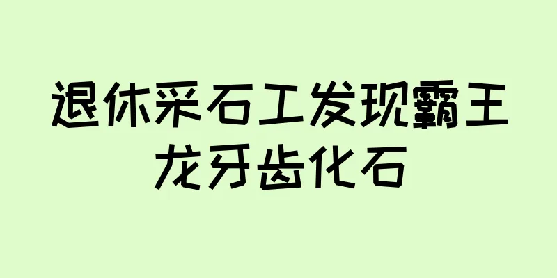 退休采石工发现霸王龙牙齿化石